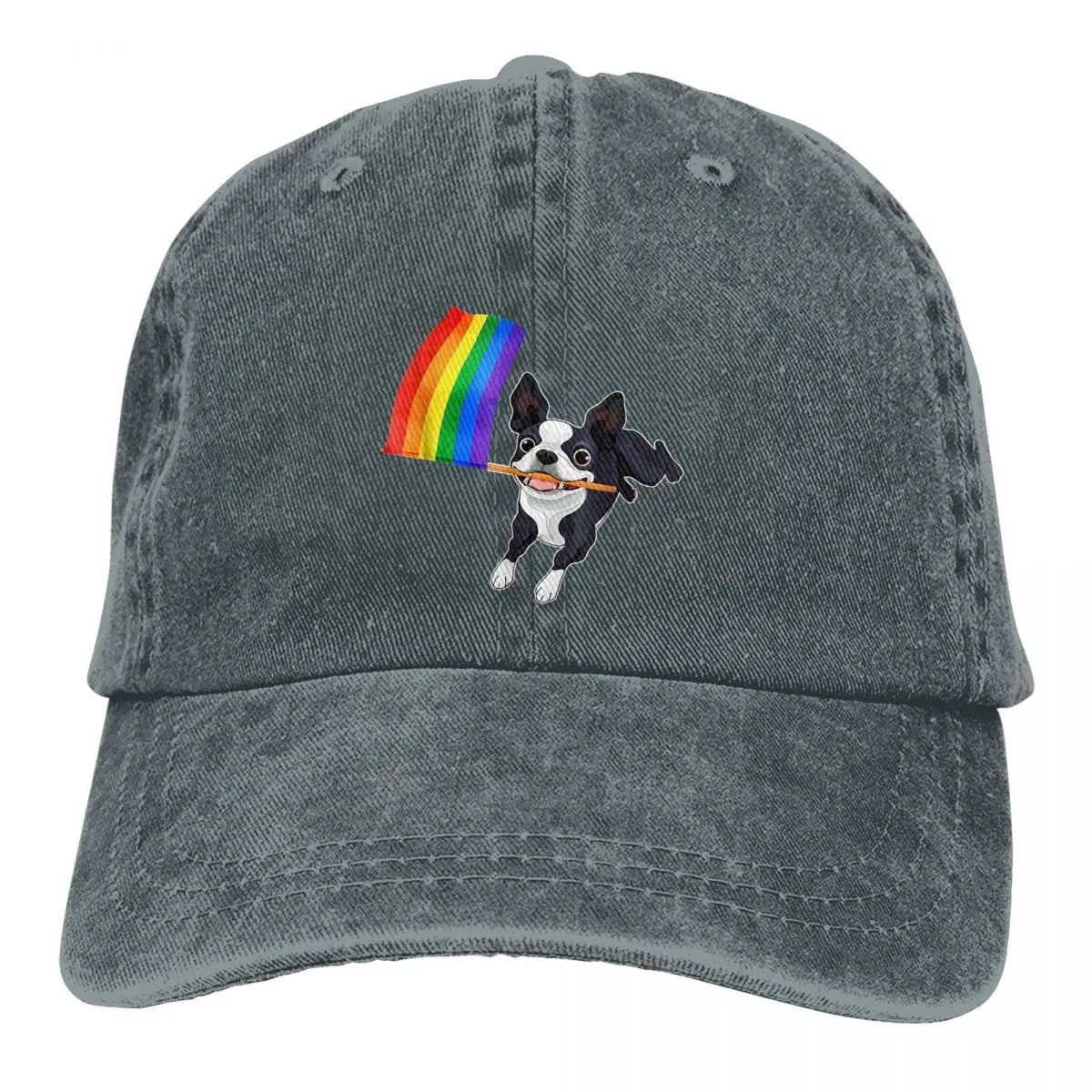 Измити мъжки бейзболна шапка гей флаг Бостън териер шофьор на камион Snapback капачки татко шапка ЛГБТ гордост голф шапки