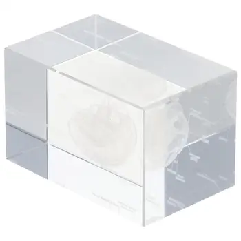 Clear 3D човешки мозък с етикети Анатомичен модел кристално стъкло куб Home&Office декорация